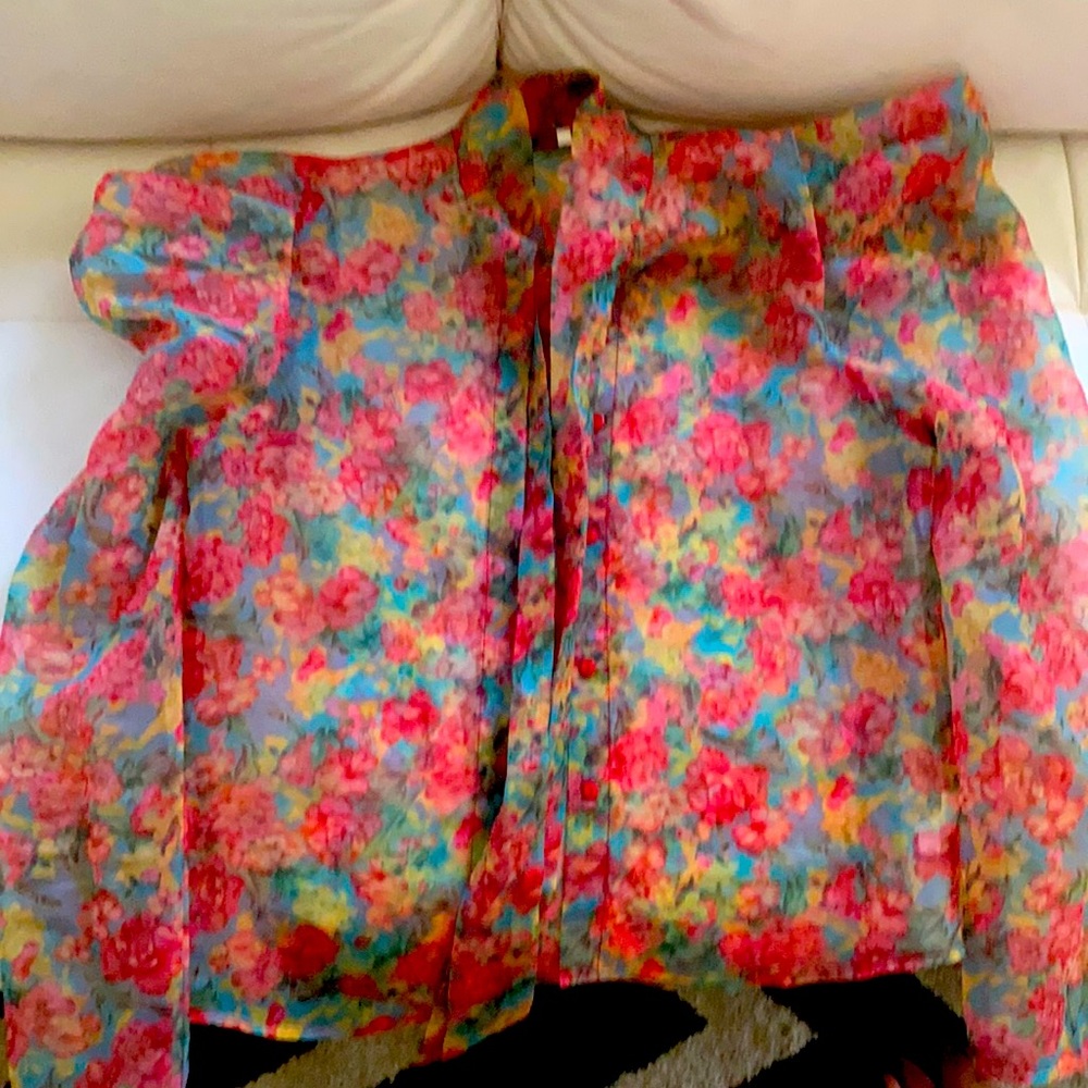Sheer Floral Button Up Puff Sleeve Blouse